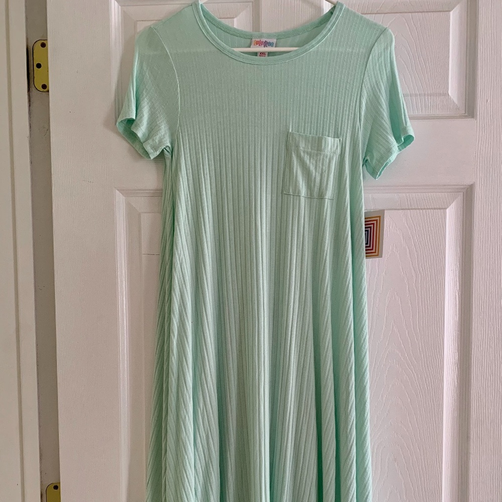 NWT LuLaRoe XXS Mint Carly